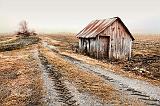 Field Shed_15098